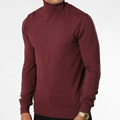 Les meilleures critiques de 👍 Pull Col Roulé AVR-176 Bordeaux de Armita 🎉